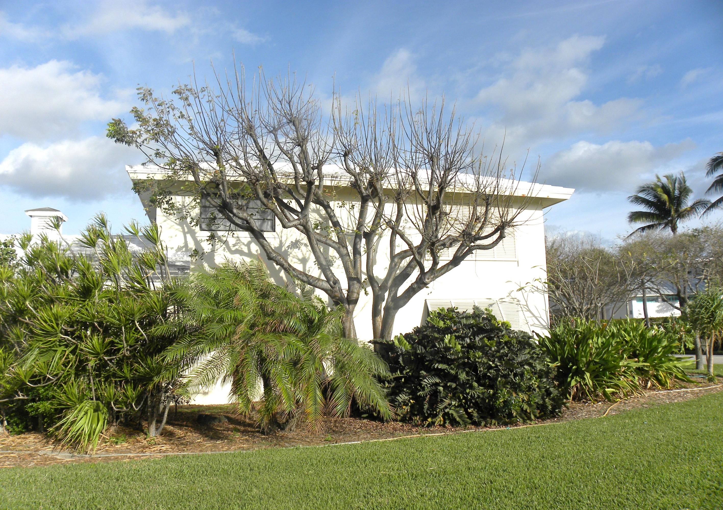240 Colony Road Jupiter Inlet Colony, FL 33469 - Photo 19 of 20 Exterior