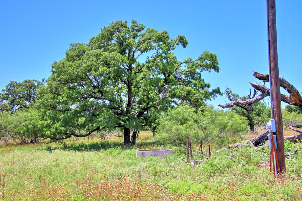 Lot 2 East Ranch Road, Unit 2 Fredericksburg, TX 78624 - Photo 1 of 15 Main View