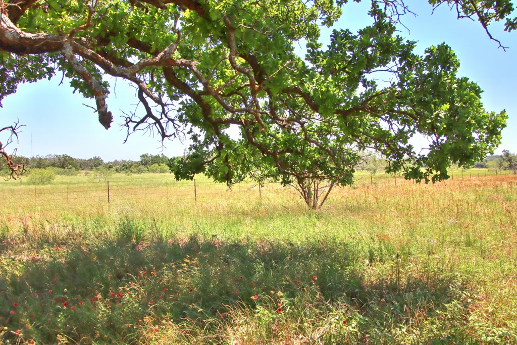 Lot 2 East Ranch Road, Unit 2 Fredericksburg, TX 78624 - Photo 11 of 15