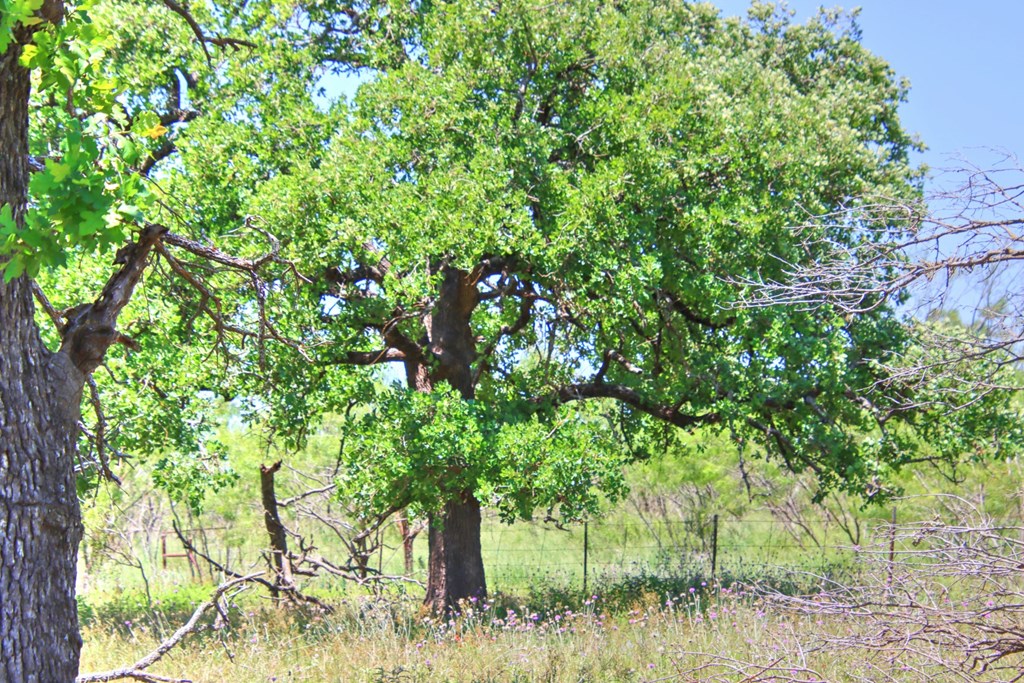 Lot 2 East Ranch Road, Unit 2 Fredericksburg, TX 78624 - Photo 12 of 15