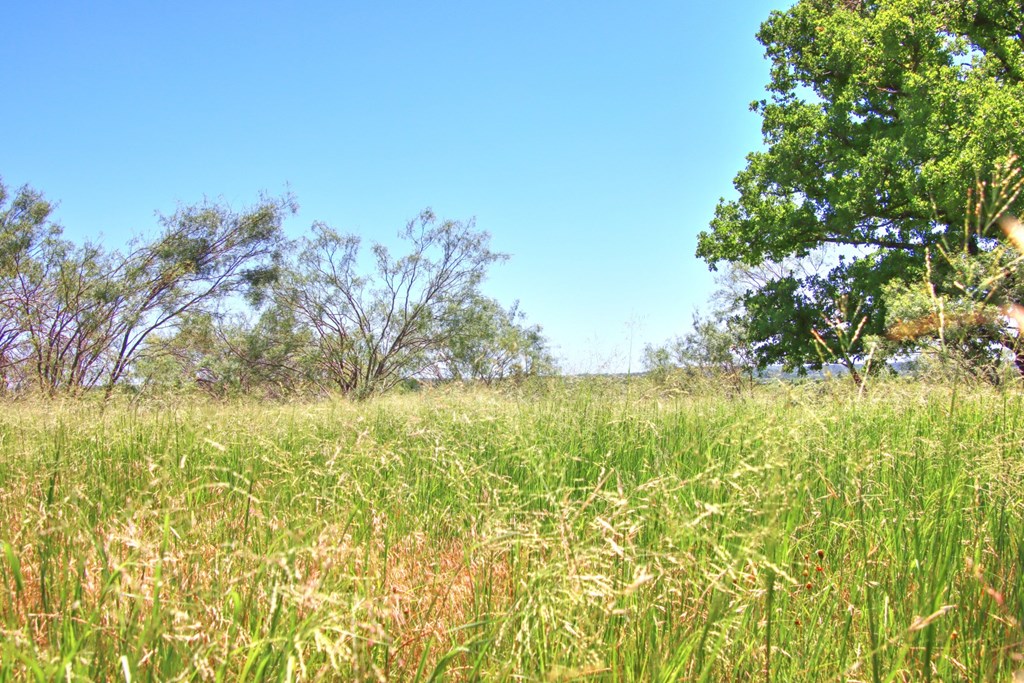 Lot 2 East Ranch Road, Unit 2 Fredericksburg, TX 78624 - Photo 13 of 15
