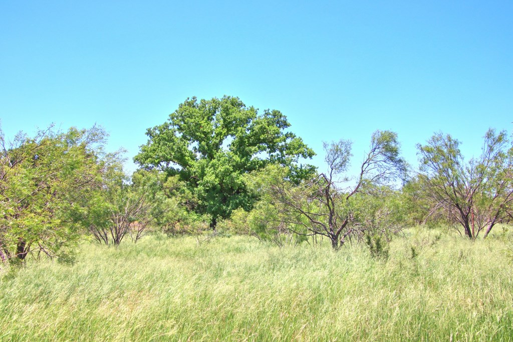 Lot 2 East Ranch Road, Unit 2 Fredericksburg, TX 78624 - Photo 14 of 15
