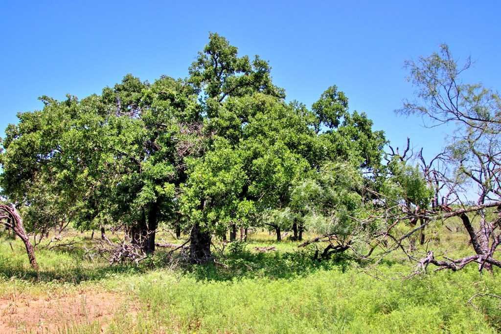 Lot 2 East Ranch Road, Unit 2 Fredericksburg, TX 78624 - Photo 2 of 15
