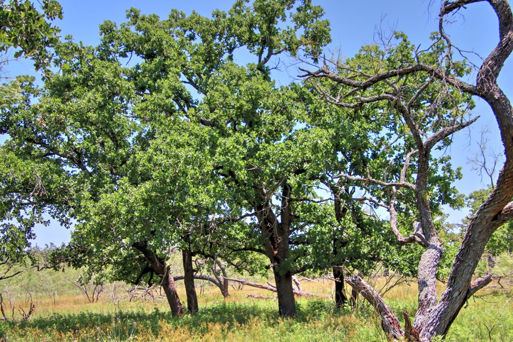 Lot 2 East Ranch Road, Unit 2 Fredericksburg, TX 78624 - Photo 3 of 15