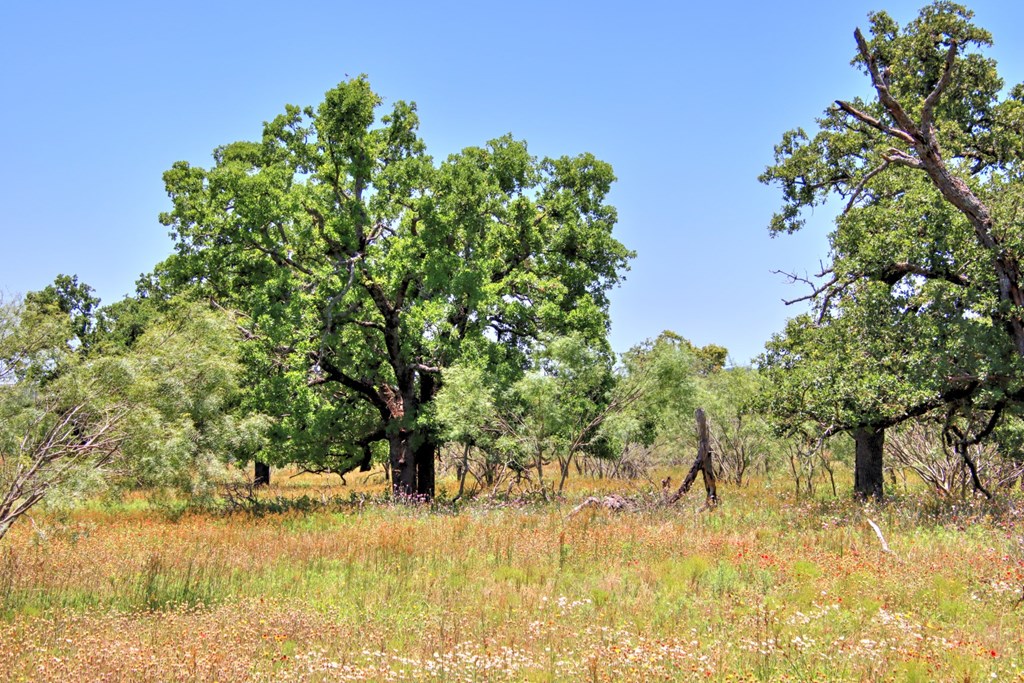 Lot 2 East Ranch Road, Unit 2 Fredericksburg, TX 78624 - Photo 6 of 15
