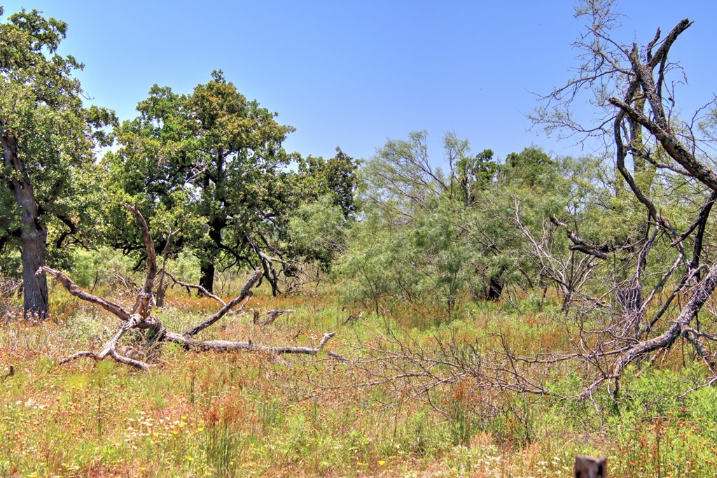 Lot 2 East Ranch Road, Unit 2 Fredericksburg, TX 78624 - Photo 7 of 15