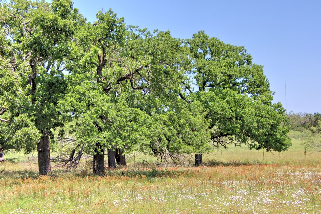 Lot 2 East Ranch Road, Unit 2 Fredericksburg, TX 78624 - Photo 8 of 15