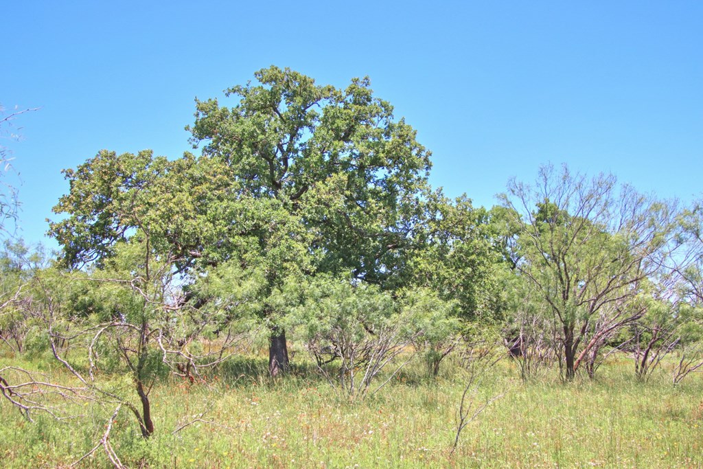 Lot 2 East Ranch Road, Unit 2 Fredericksburg, TX 78624 - Photo 10 of 15
