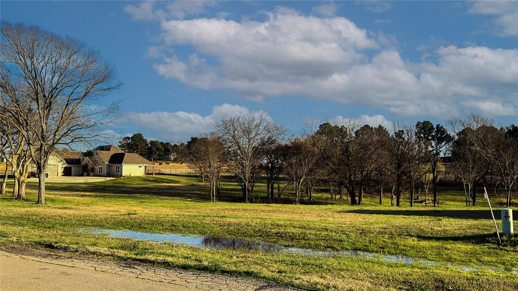 5455 Saddle Ridge Court Athens, TX 75752 - Photo 12 of 25 View of community featuring a water view and a lawn