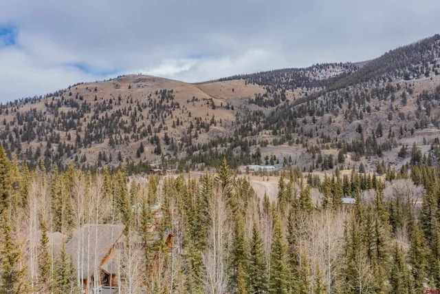 a view of a yard with a tree