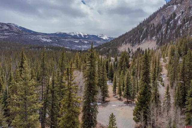 a view of a city with lush green forest