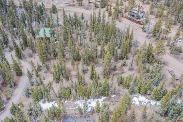 a close up of a plant