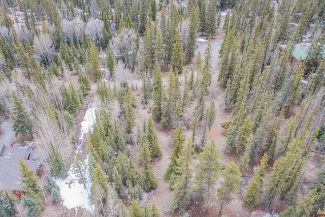 a bathroom with a shower curtain