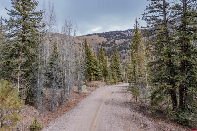 a view of a pathway both side of building