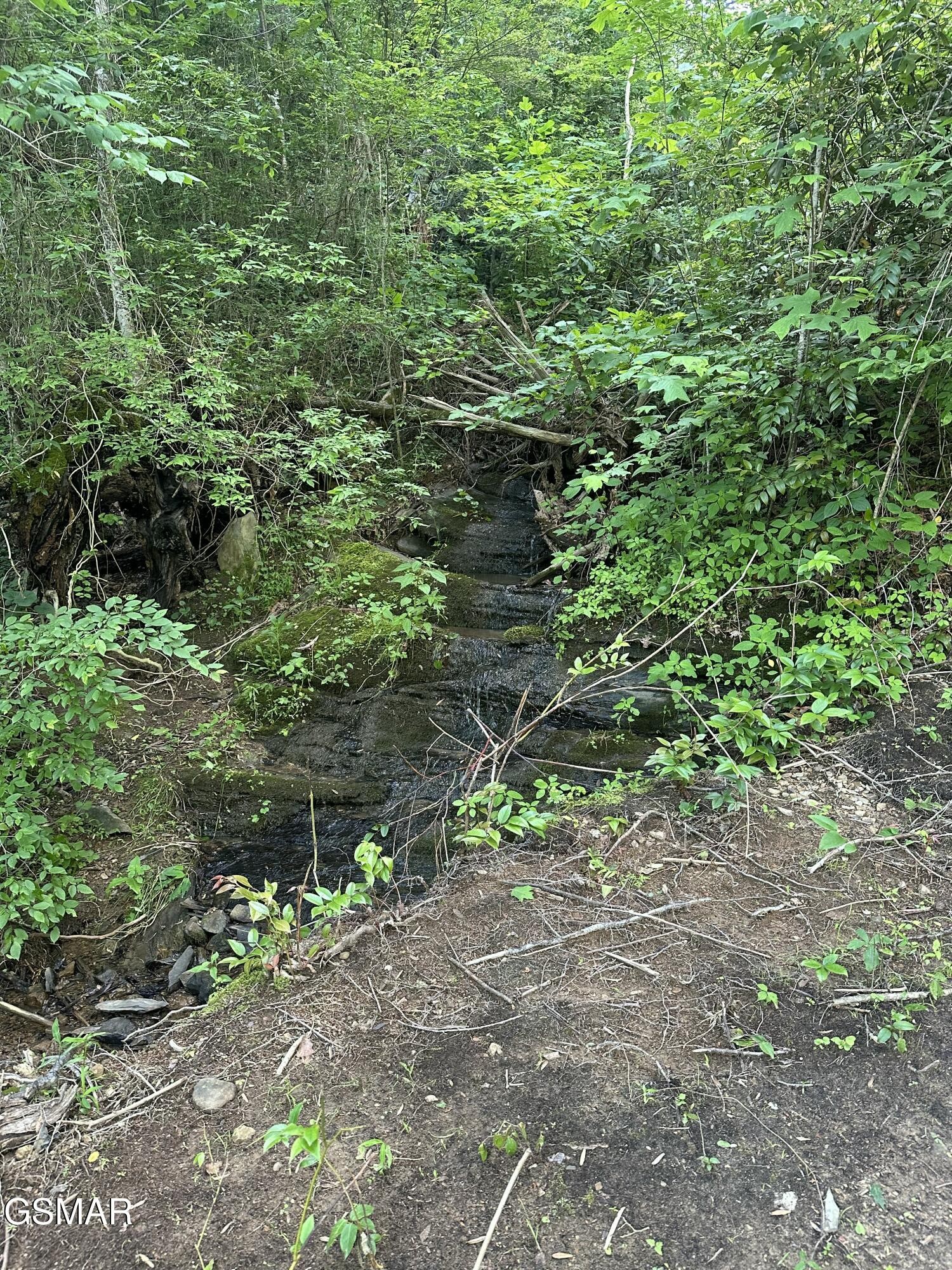 0 Little Bear Road Cosby, TN 37722 - Photo 28 of 46 Gallery Image 28