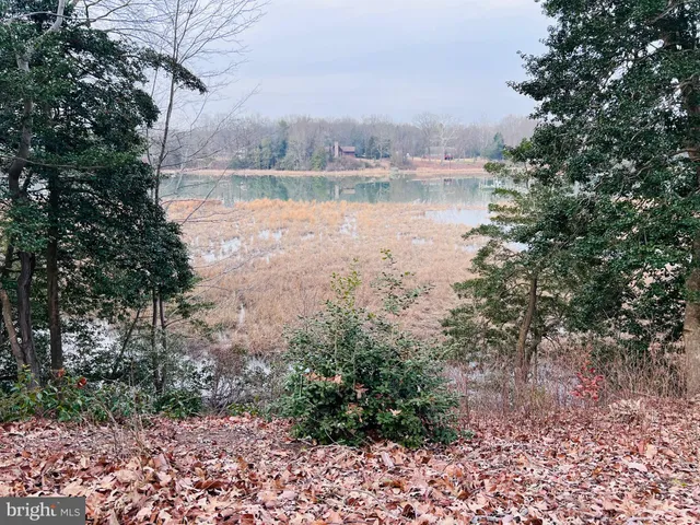 a view of lake with green space