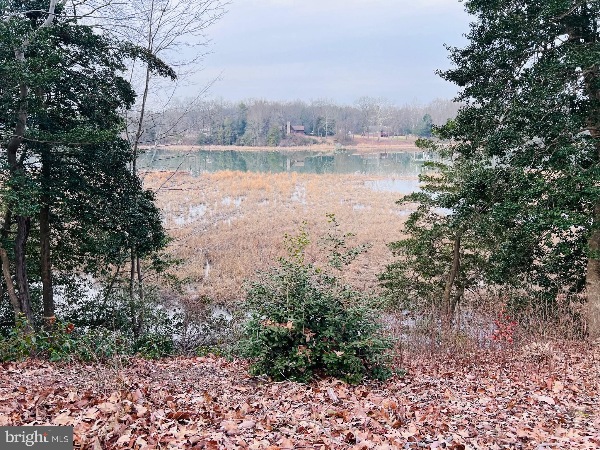 436 Thompson Circle Colonial Beach, VA 22443 - Photo 7 of 40 a view of lake with green space