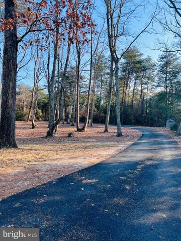 a park view with large trees