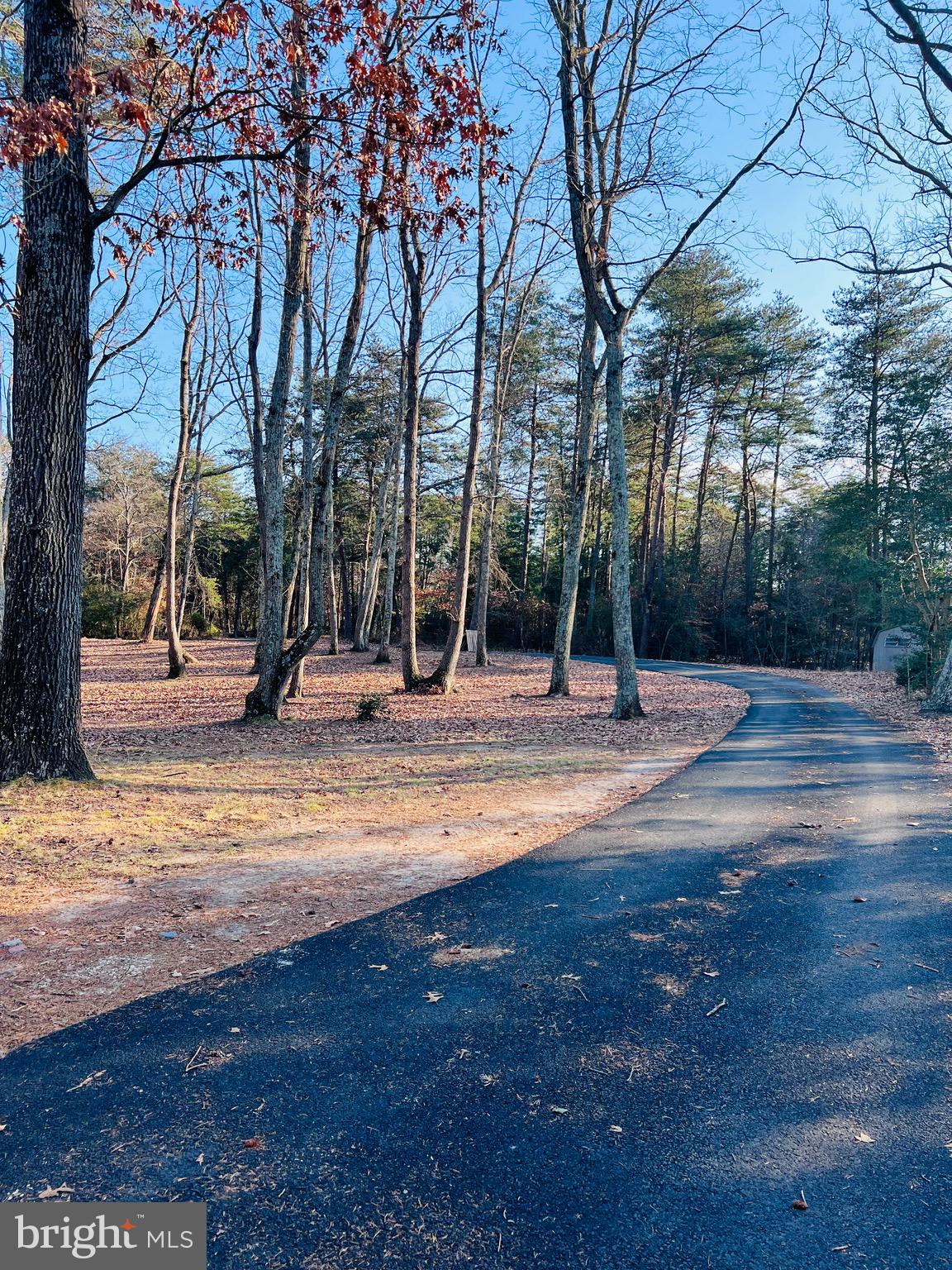 436 Thompson Circle Colonial Beach, VA 22443 - Photo 8 of 40 a park view with large trees