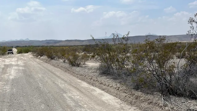 a view of a lake with a city