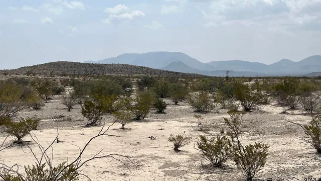 a view of a lake with a mountain in the background