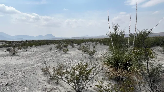 a view of a lake with a mountain in the background