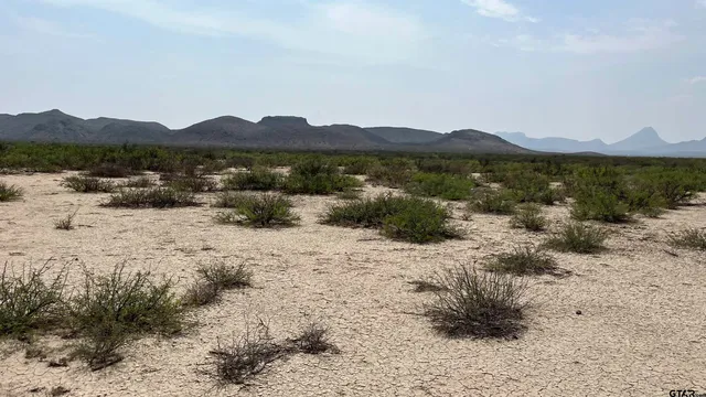 a view of a lake with a mountain