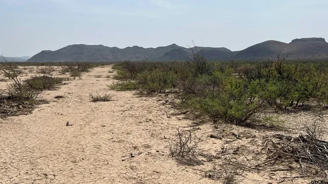 a view of mountain with a forest