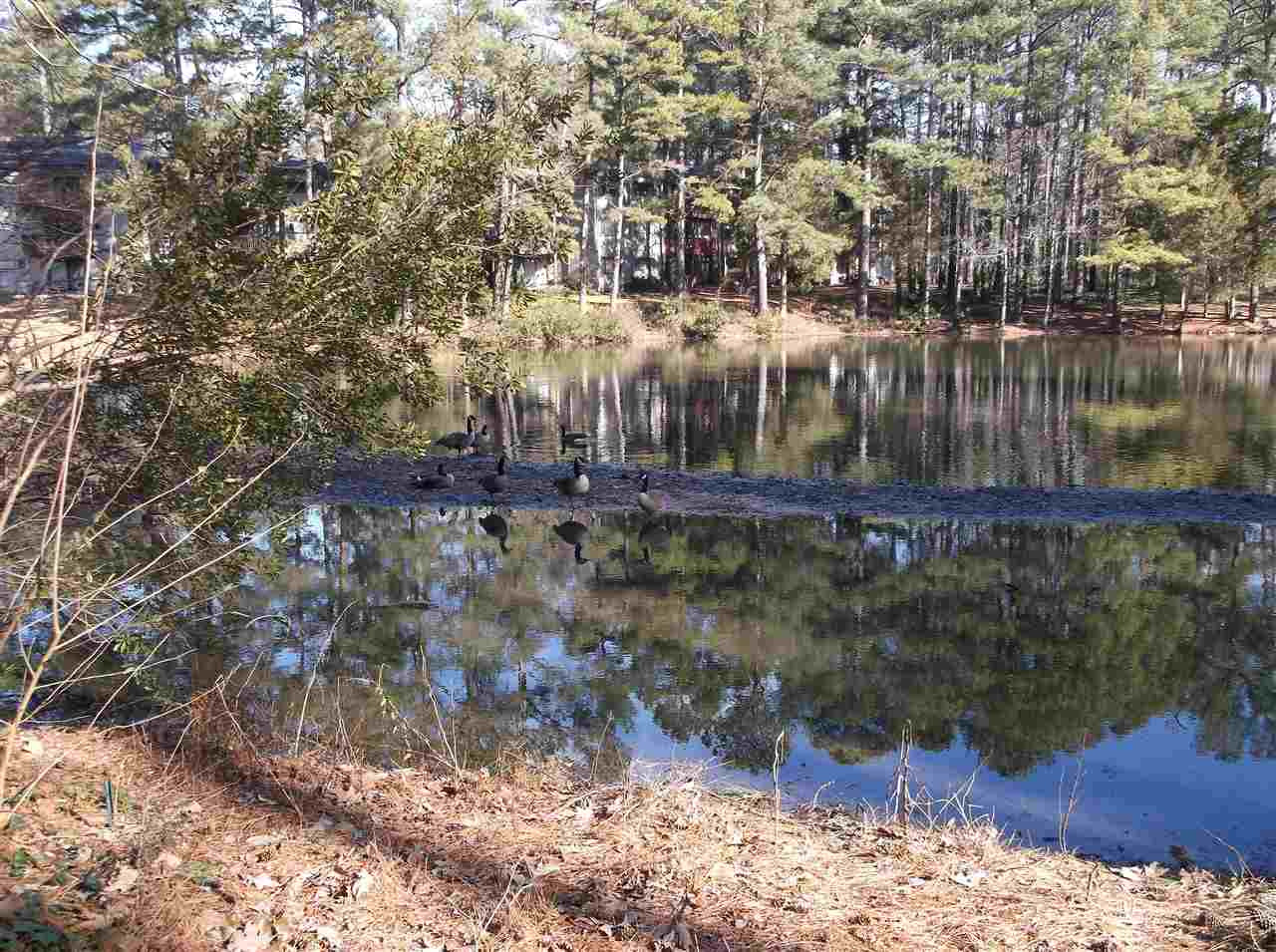 5004 Flint Ridge Place, Unit 5004 Raleigh, NC 27609 - Photo 10 of 12 Lake