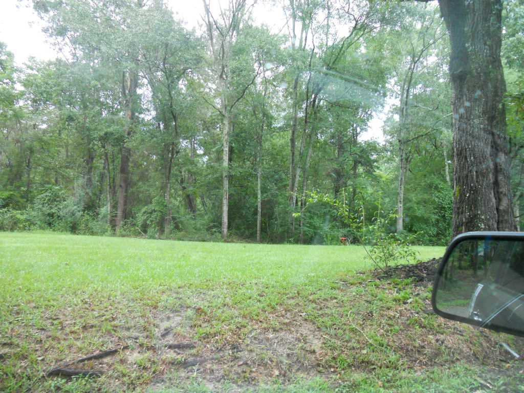 66 Bray Road Pulaski, MS 39152 - Photo 2 of 19 Photo 2