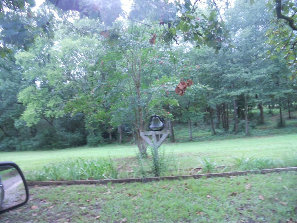 66 Bray Road Pulaski, MS 39152 - Photo 5 of 19 Photo 5