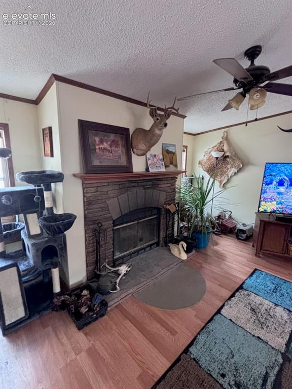 4758 Copper Gulch Road Cotopaxi, CO 81223 - Photo 3 of 19