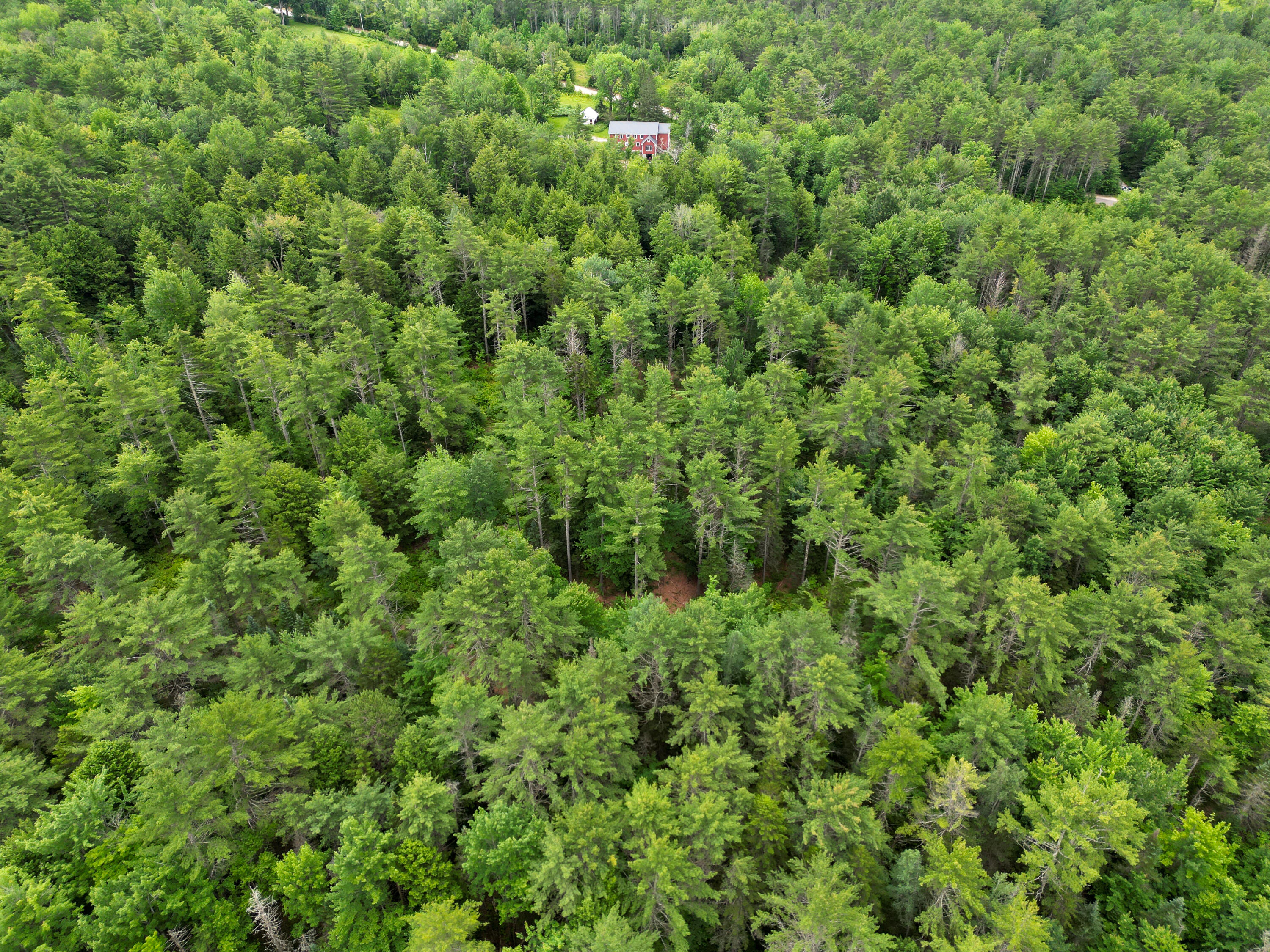 Lot 30 Irish Neighborhood Road Bethel, ME 04217 - Photo 16 of 24 DJI_0621