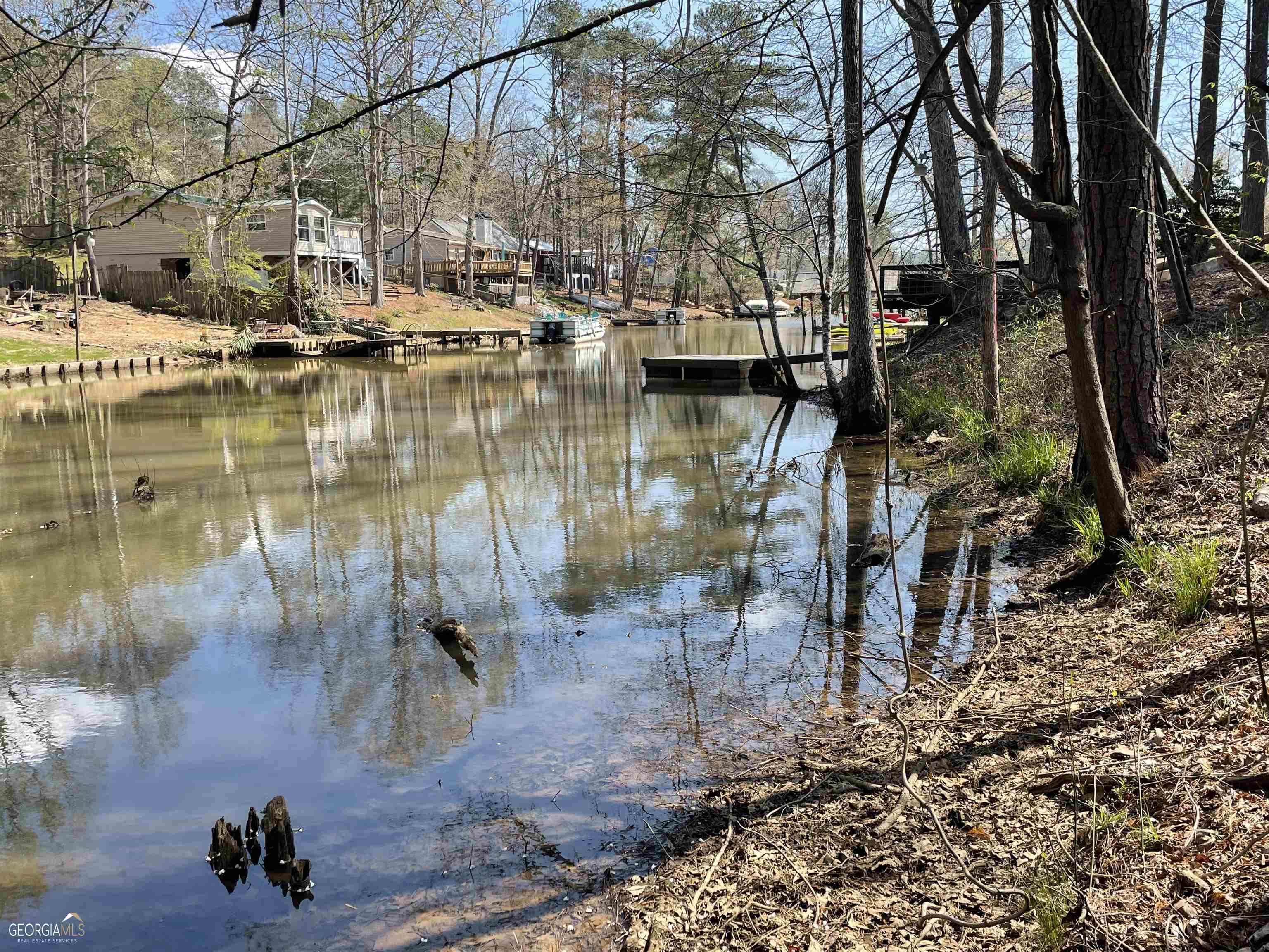 a view of water pond with lots of trees