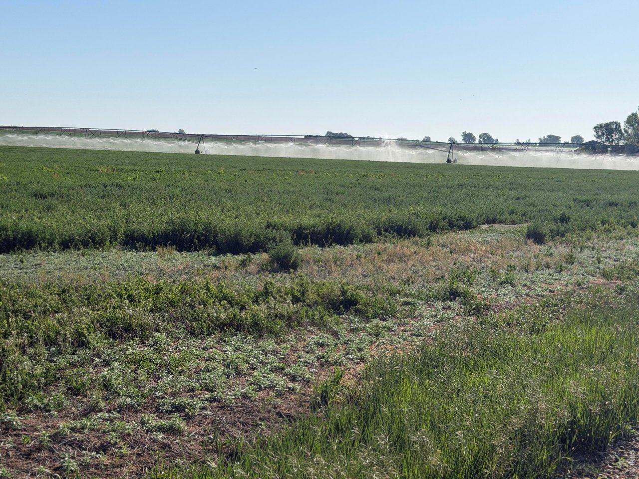 70 County Road Eaton, CO 80615 - Photo 16 of 17