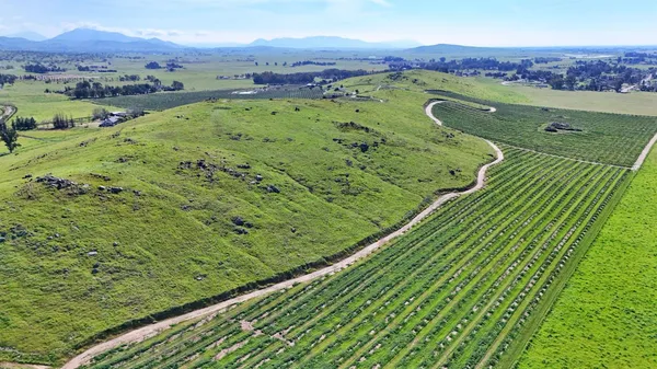 a view of a lush green space with a lake view