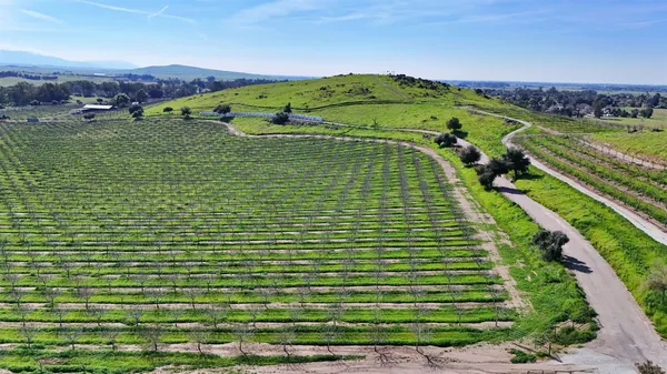 a view of a green field