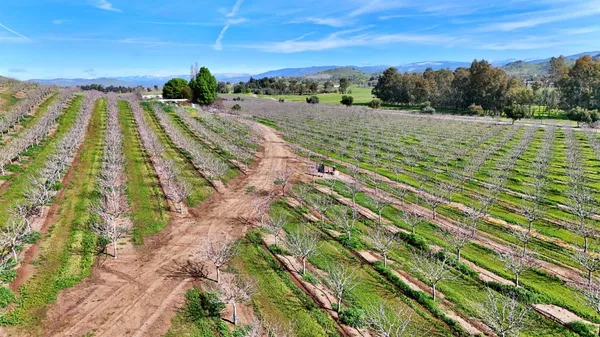 $6,450,000 | 13638 East Shepherd Avenue, Clovis, CA 93619