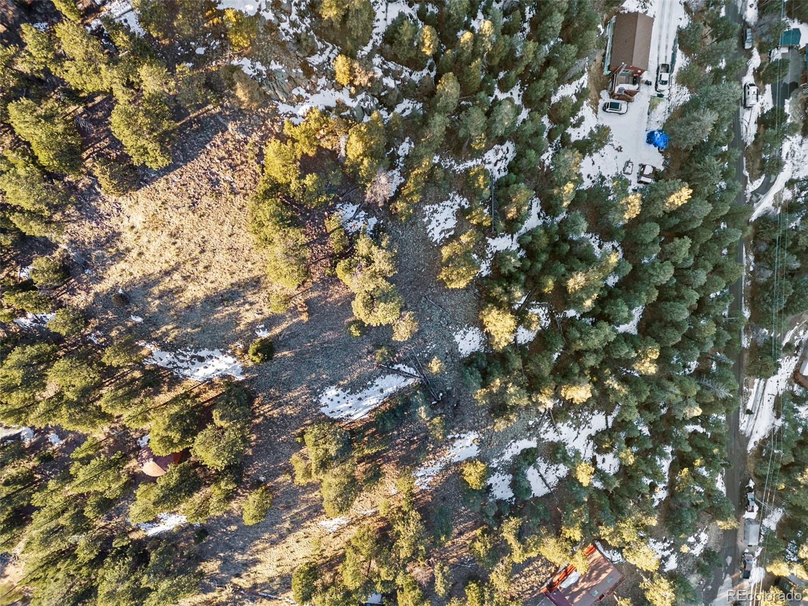 Ridge Road Evergreen, CO 80439 - Photo 16 of 22 a view of a tree