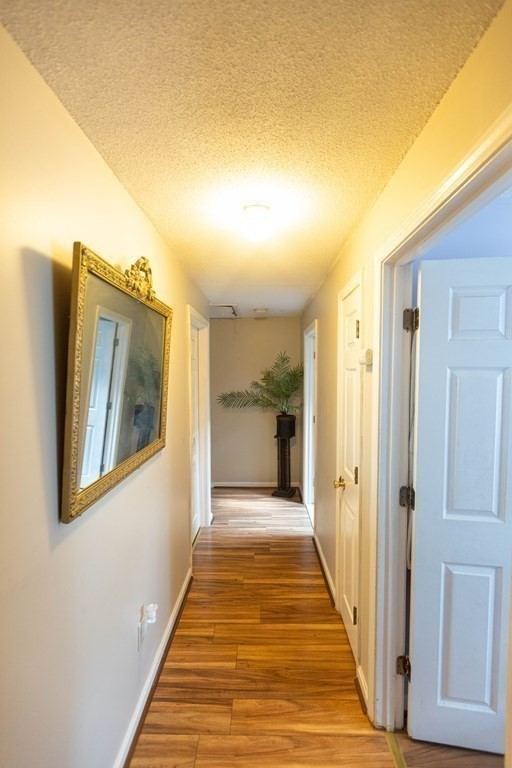 9 Lorraine Road Worcester, MA 01604 - Photo 20 of 24 Gallery Image 20