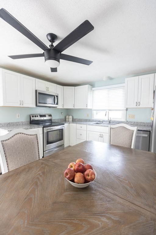 9 Lorraine Road Worcester, MA 01604 - Photo 9 of 24 Gallery Image 9