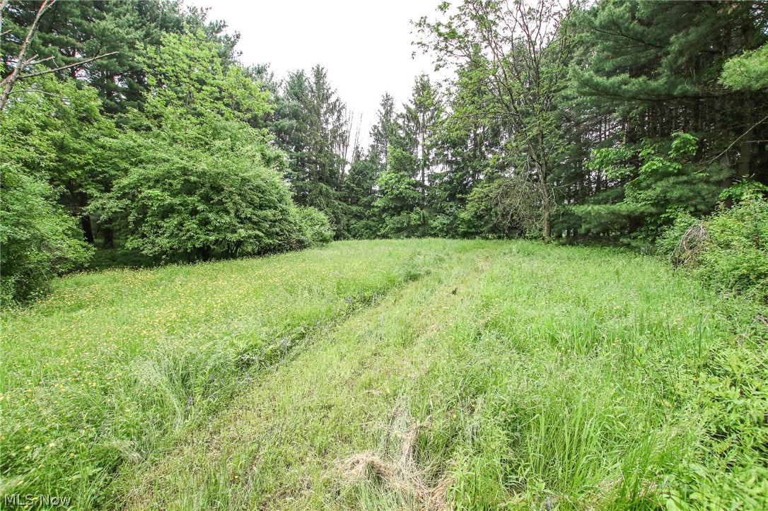 4700 West Bath Road Akron, OH 44333 - Photo 7 of 20