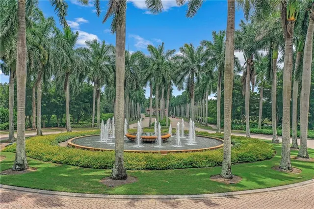 a view of a park with plants