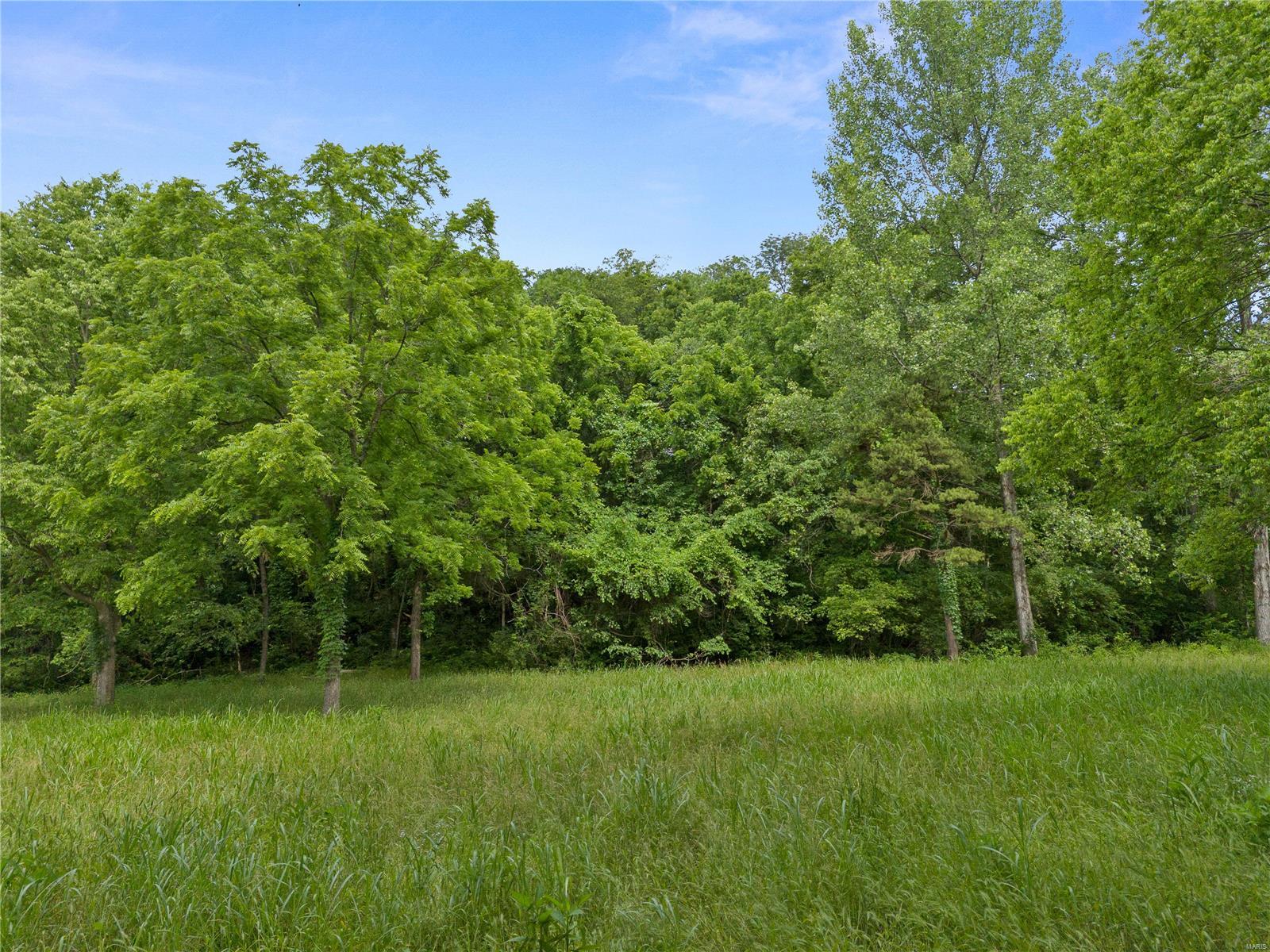 17 Greens Bottom Road St. Charles, MO 63304 - Photo 13 of 16