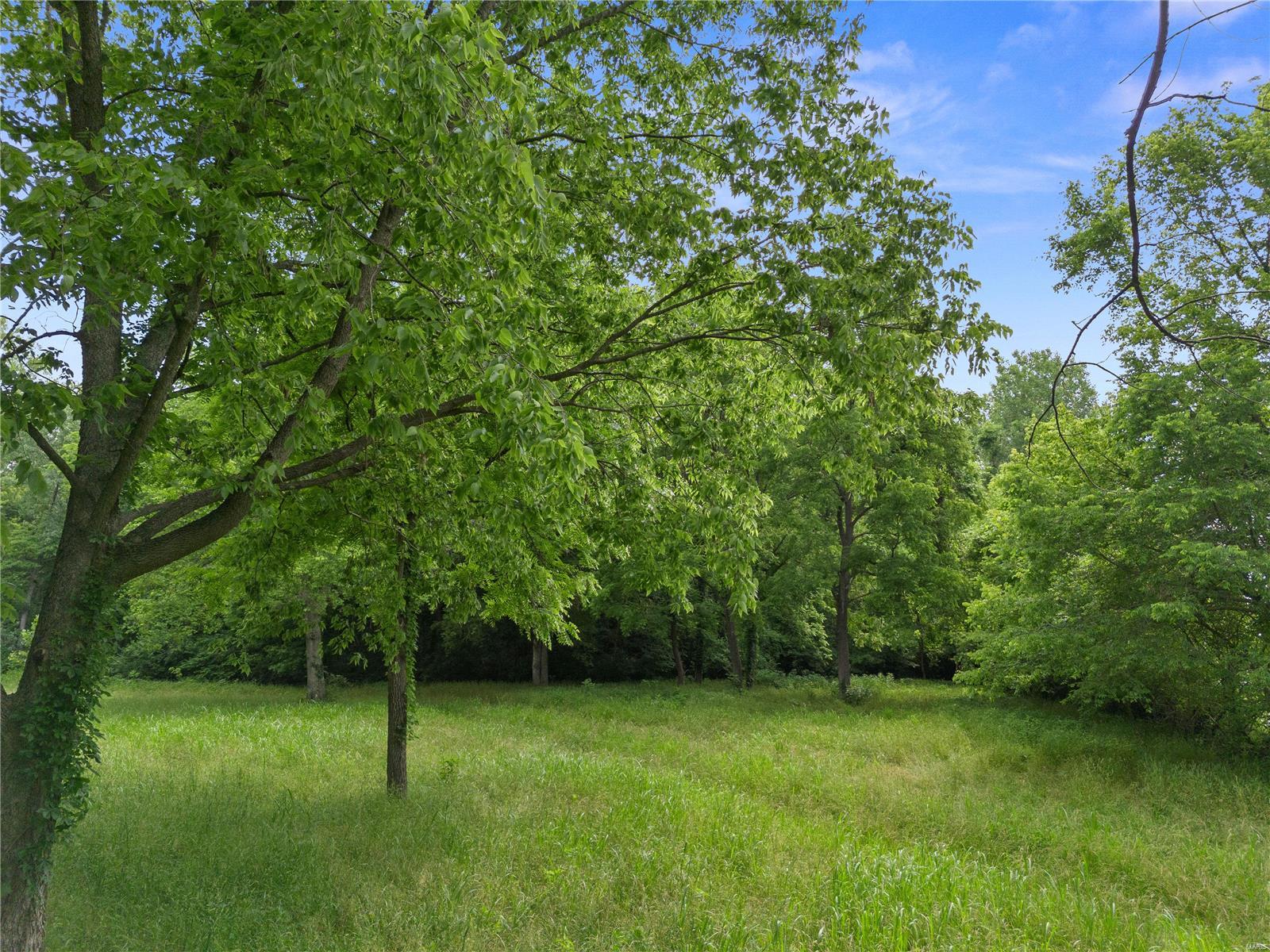 17 Greens Bottom Road St. Charles, MO 63304 - Photo 14 of 16