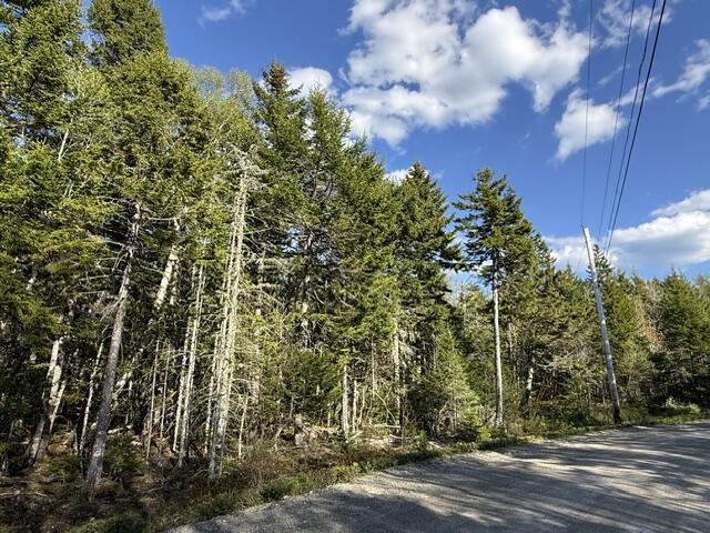 Lot 13 Pidgeon Point Road Whiting, ME 04691 - Photo 3 of 25 IMG_9957 (2)