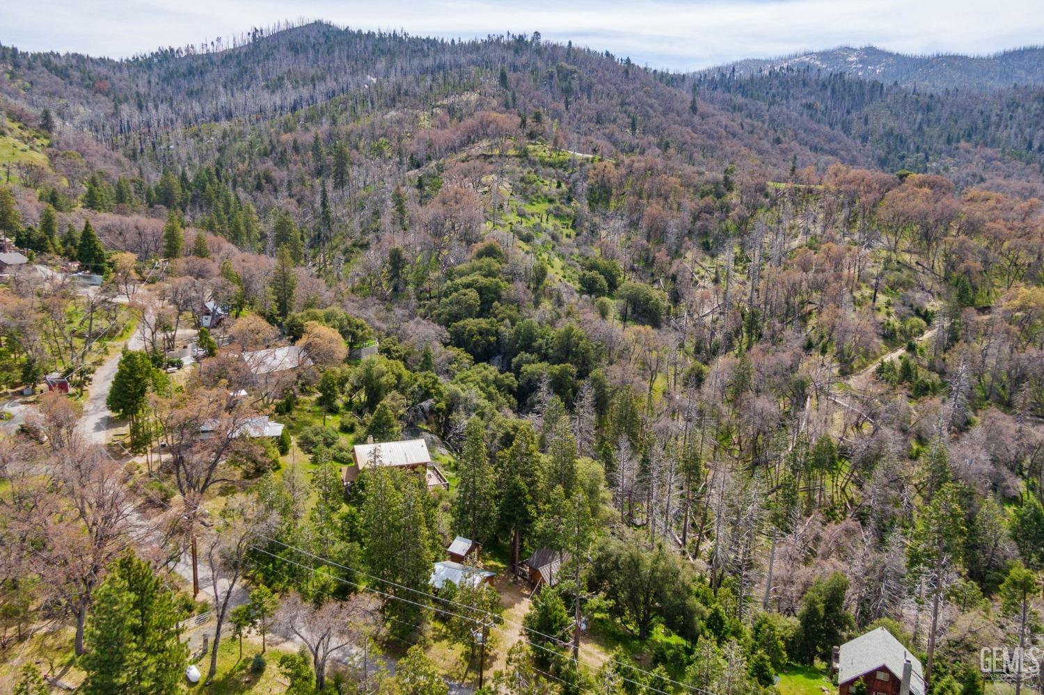 Undisclosed Address Posey, CA 93260 - Photo 49 of 53 a view of a lush green forest with mountains in the background