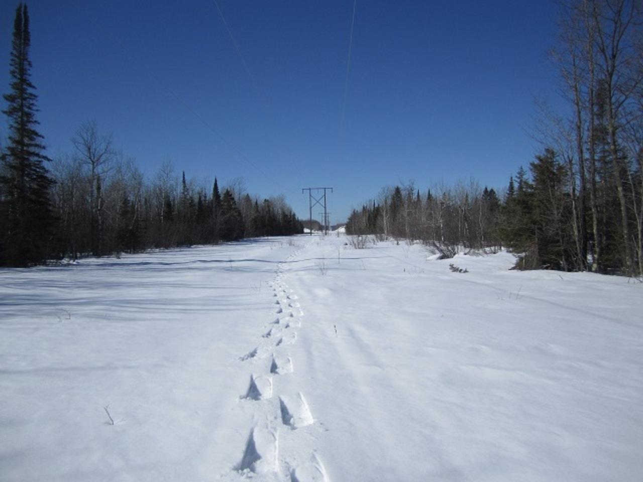 Tbd Valley Road Hurley, WI 54534 - Photo 33 of 36 Gallery Image 33