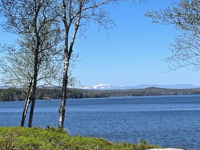 24 Clifford Road, Unit 18 Naples, ME 04055 - Photo 32 of 49 IMG_5884