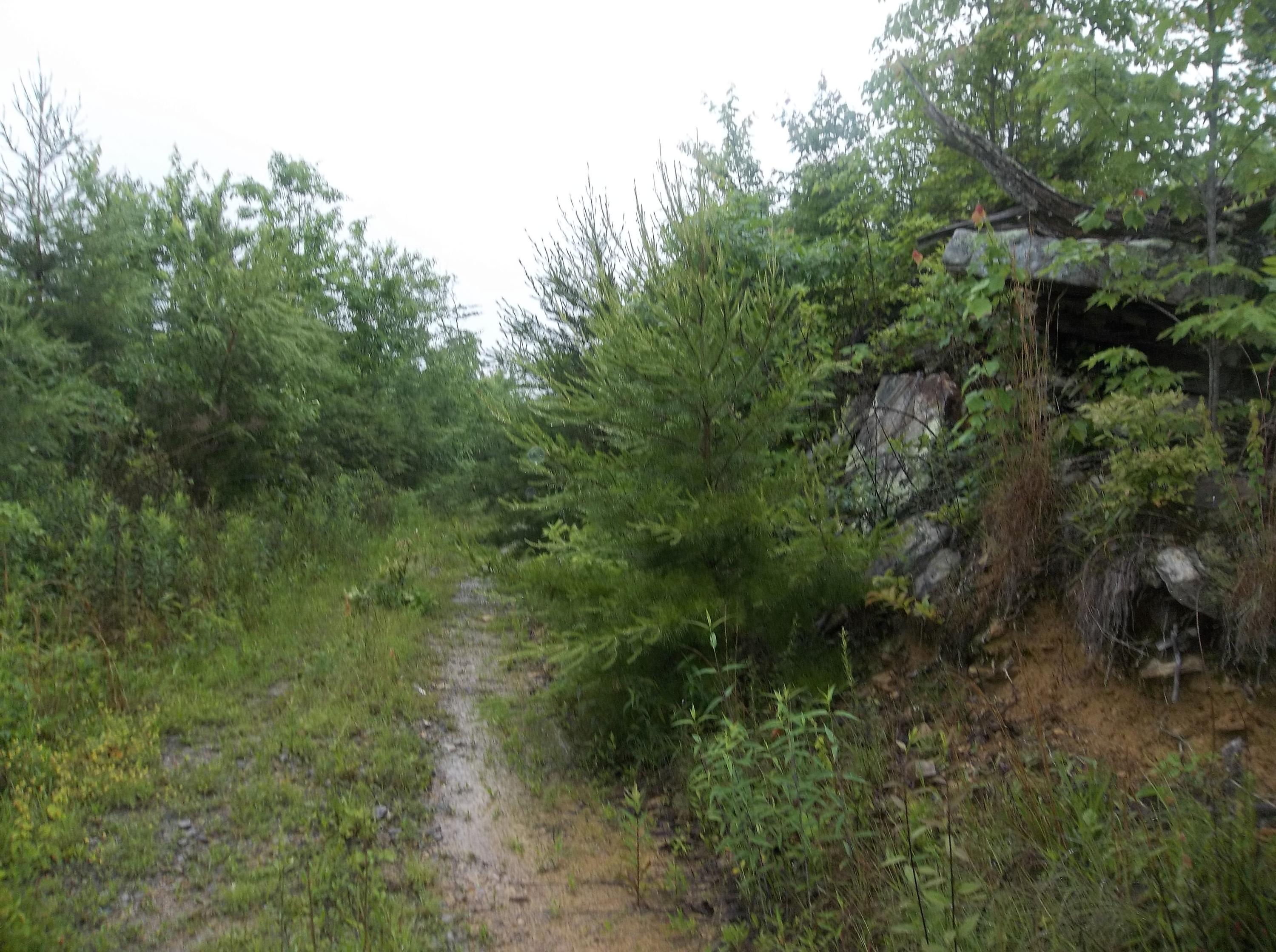 0 Barker Road Palmer, TN 37365 - Photo 12 of 49 100_4369